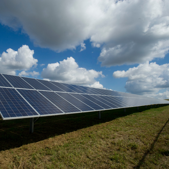 field with solar panels