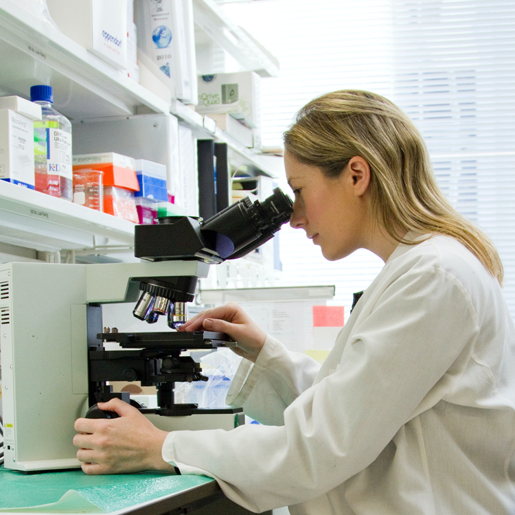 female life science engineer looking into a microscope