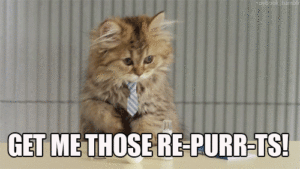 gif of cat with tie with text saying get me those reports