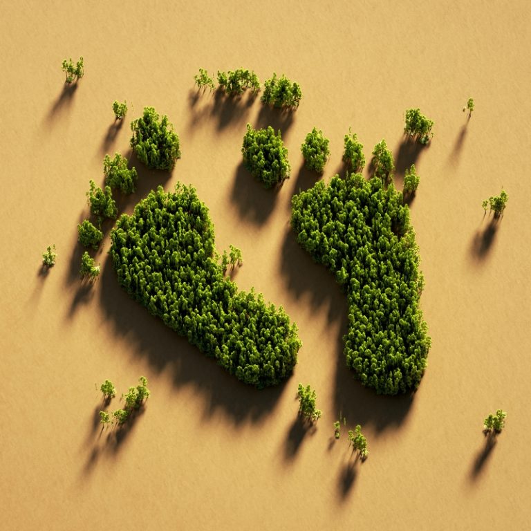 Human Footprint Symbol made of green tres on recycled paper. Green energy and carbon footprint concept